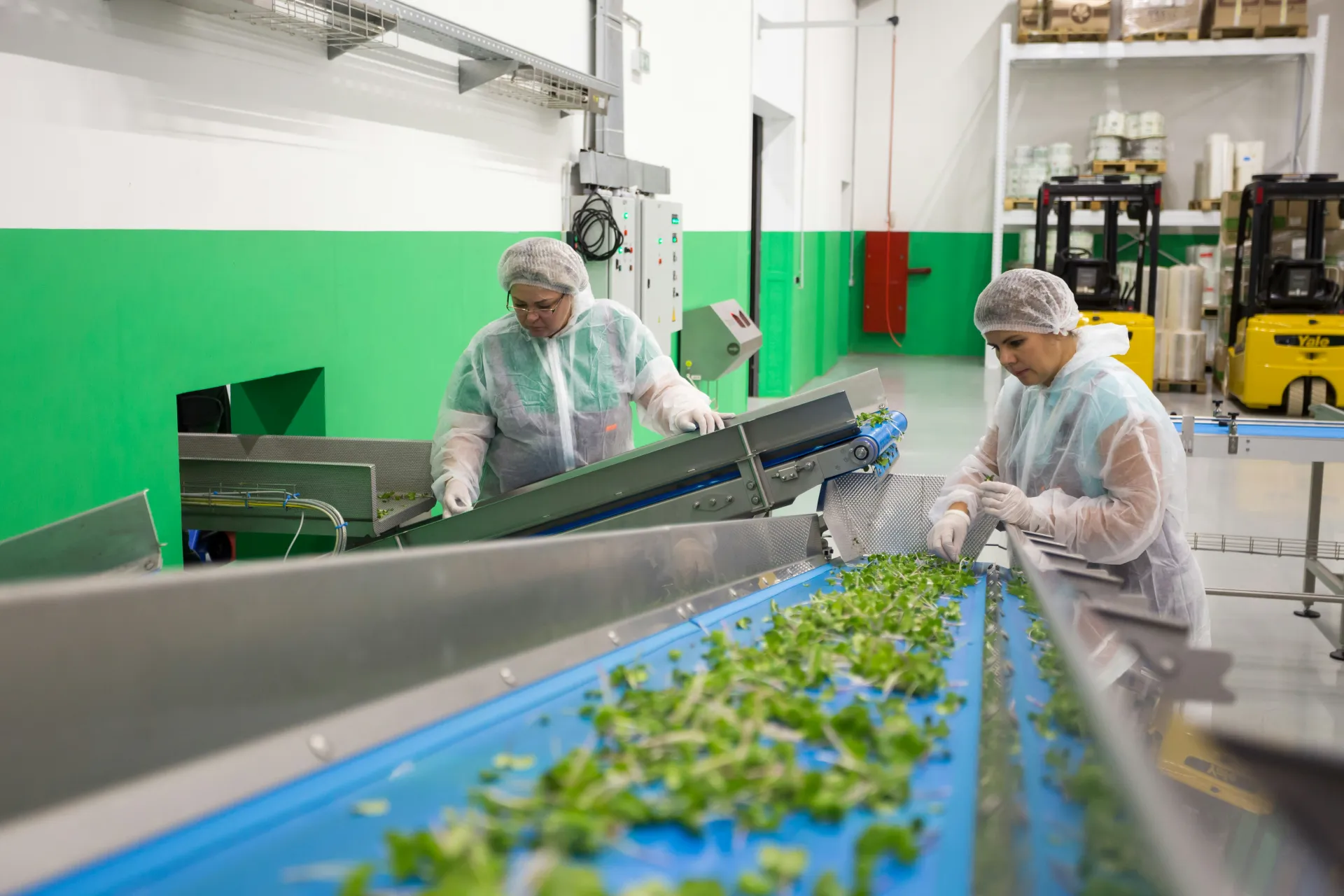Cintas transportadoras industriales en Almería